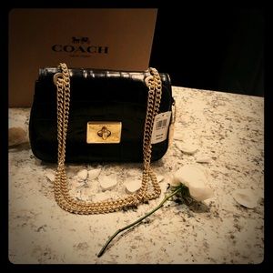 Coach Cassidy Leather Crossbody Bag (F38081).